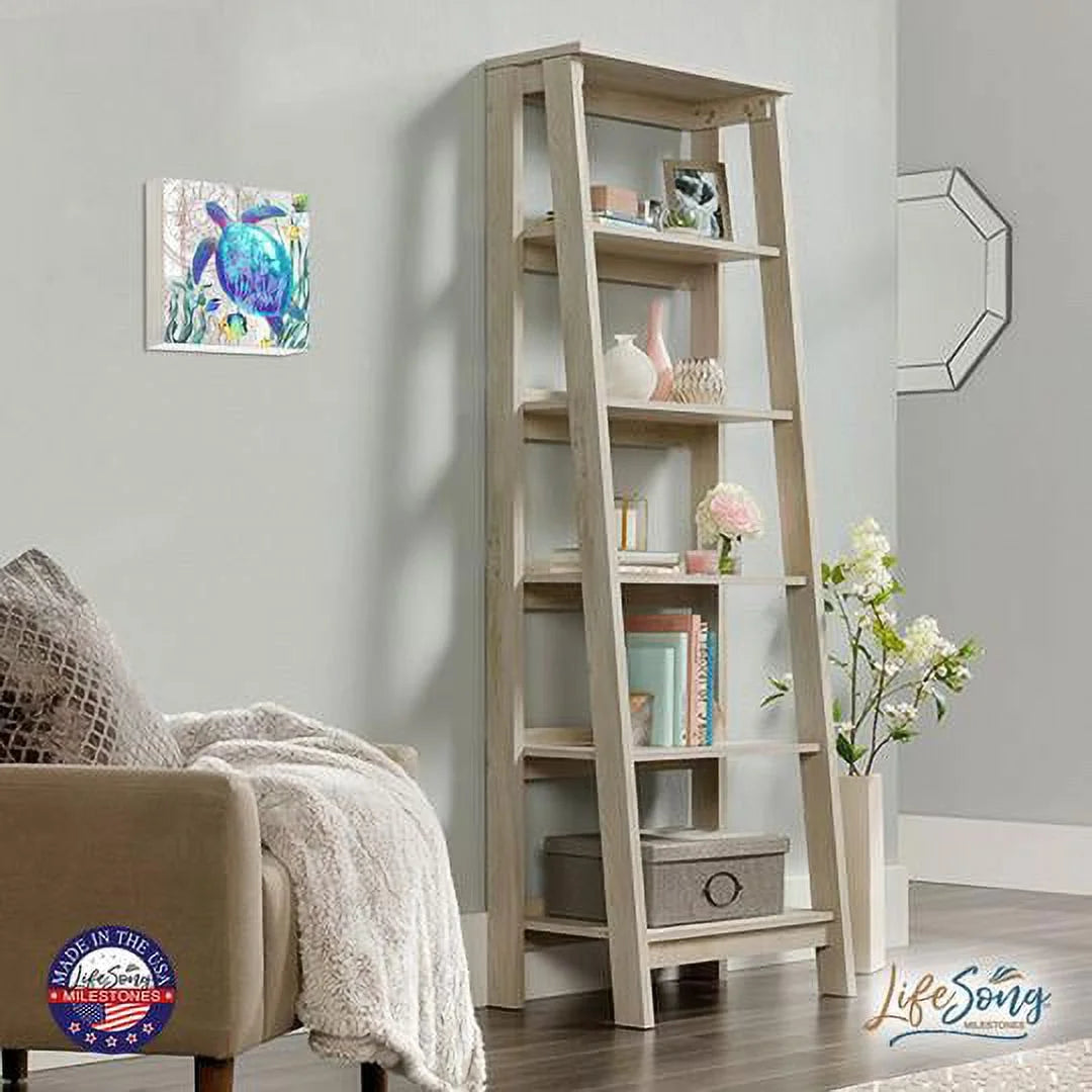 Turtle Art Canvas Shadow Box H9031