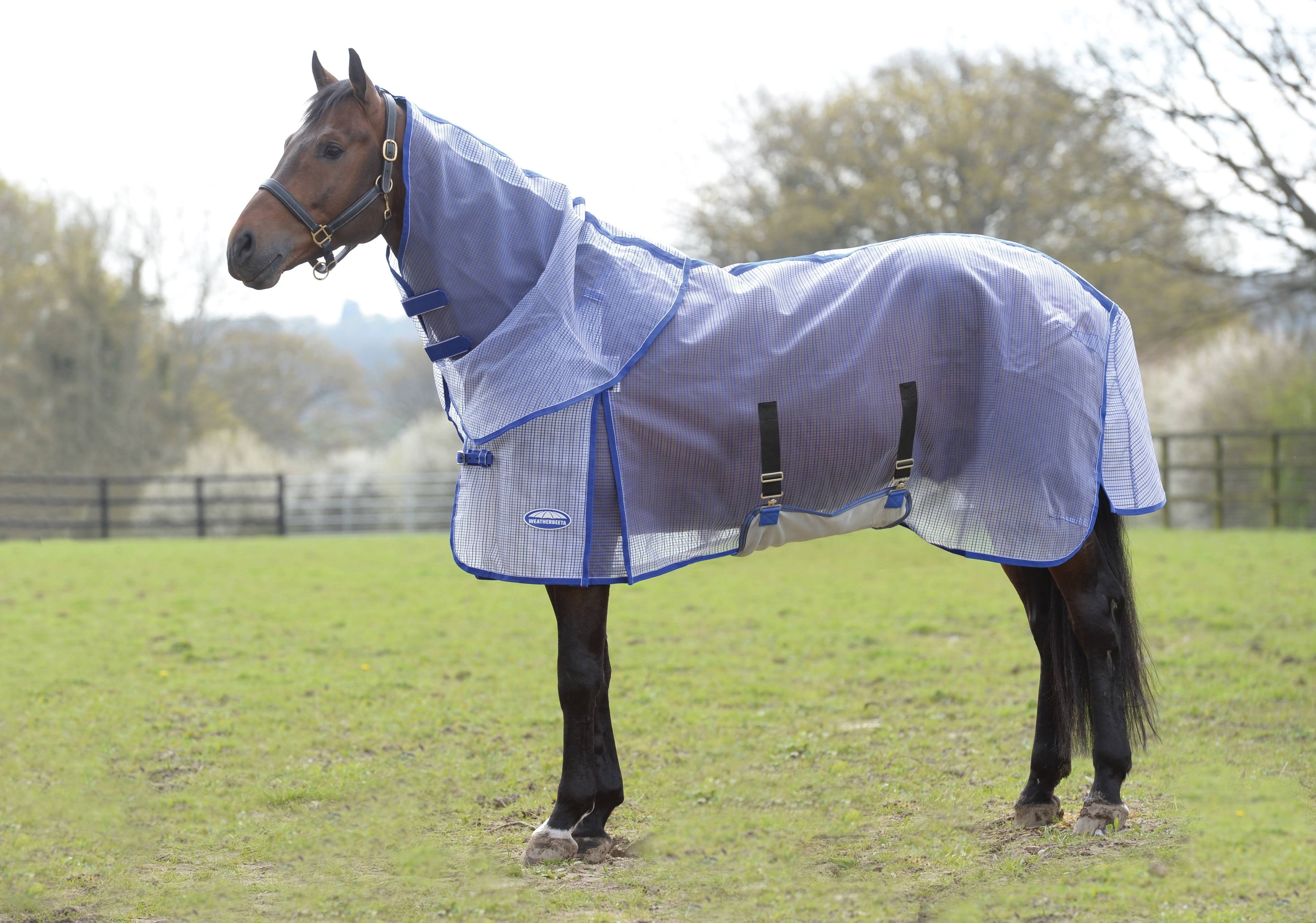 White/Blue Ripshield Detach-A-Neck Fly Sheet I810