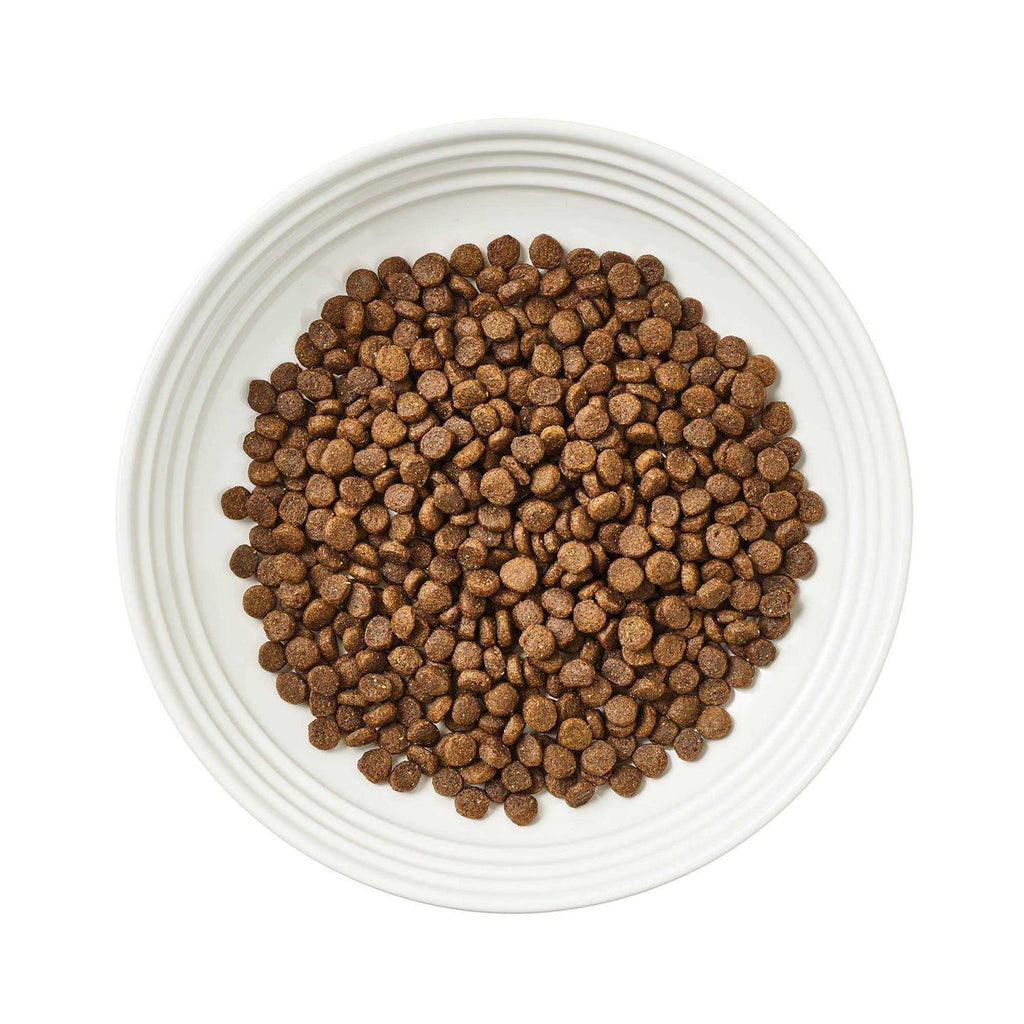 Grain-Free Chicken Recipe Dry Cat Food L233209