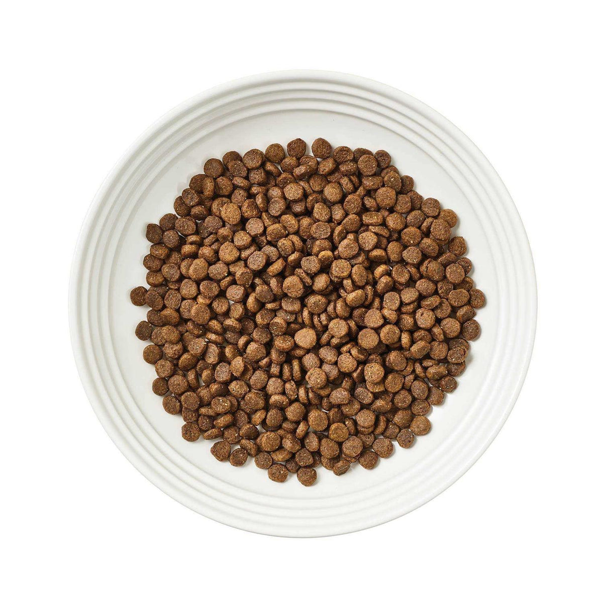 Grain-Free Chicken Recipe Dry Cat Food L233209