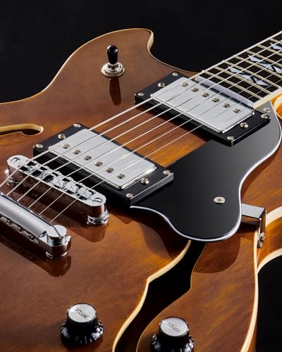 Semi Hollow Body Electric Guitar with 6 String Y1113