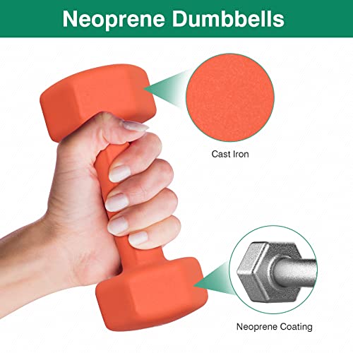 Neoprene Dumbbell Pairs 2LB 3LB 5LB 8LB 10LB B35263