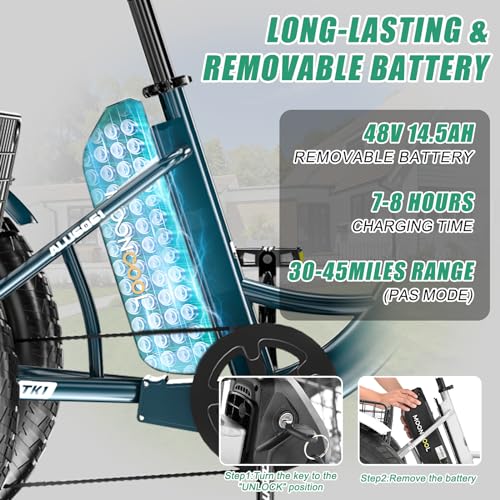 20" x 4" Fat Tire Electric Tricycle with Removable Battery P2560