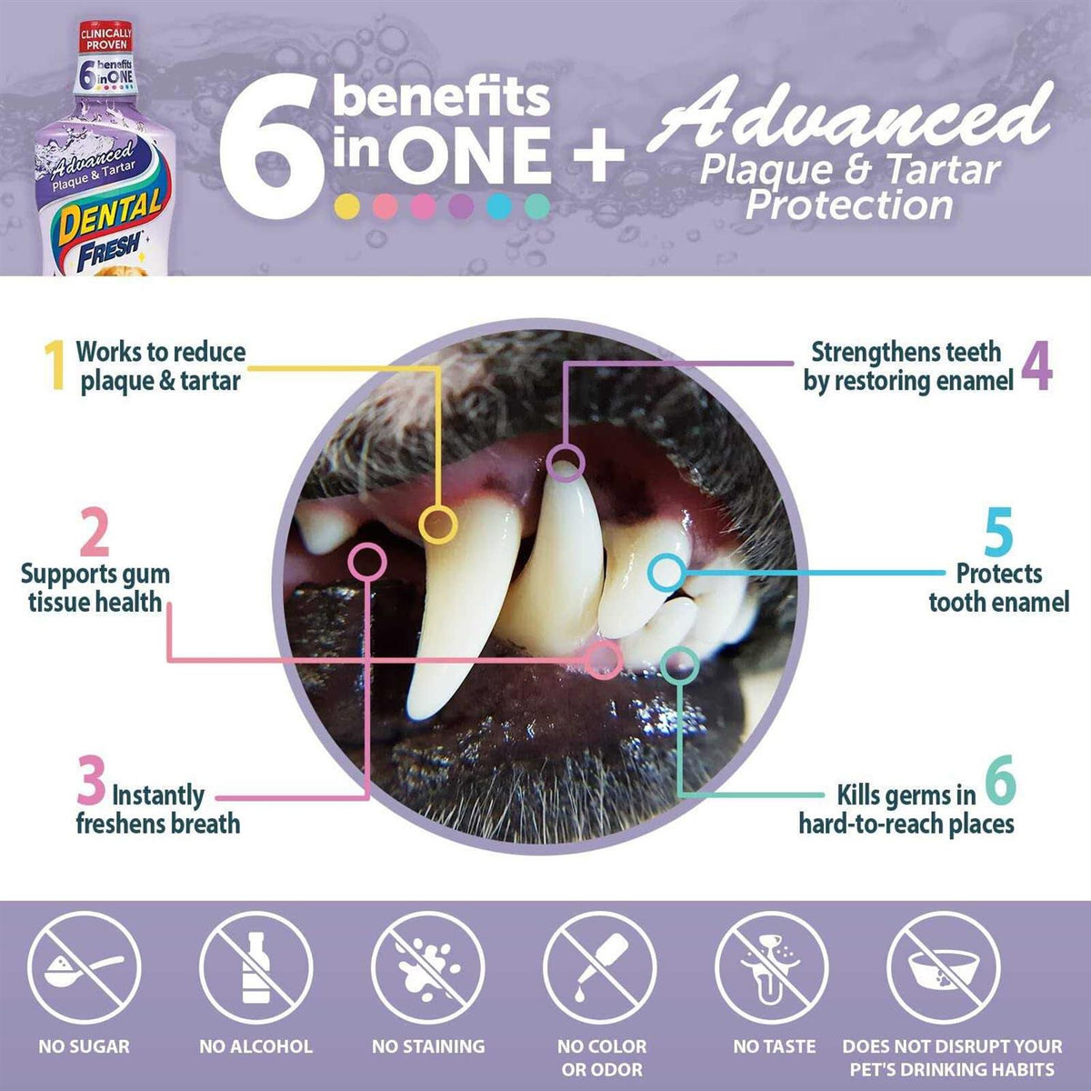 Dental Fresh Advanced Plaque & Tartar Water Additive for Dogs B833593