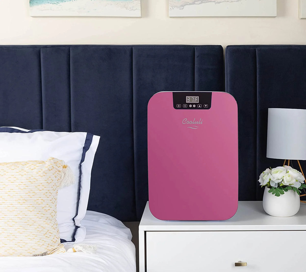 20L Mini Fridge with Glass Front and Digital Temperature Control T415