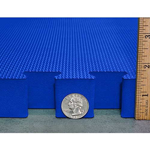 2'x2' Interlocking EVA Foam Mats C4753