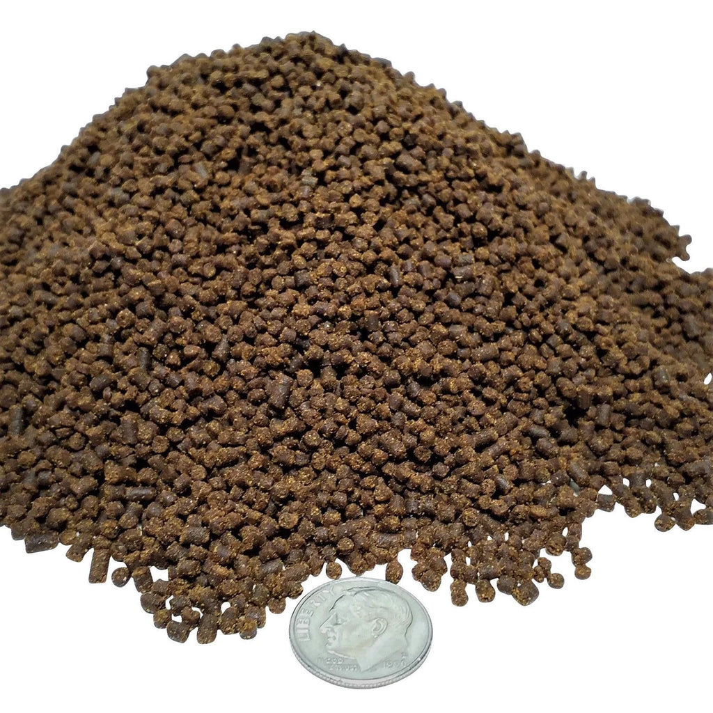 3-lb Soft Moist Sinking Crumbles Axolotl Food V3730