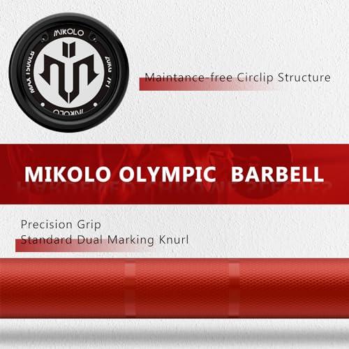 7ft Olympic Barbell 45lb H43931
