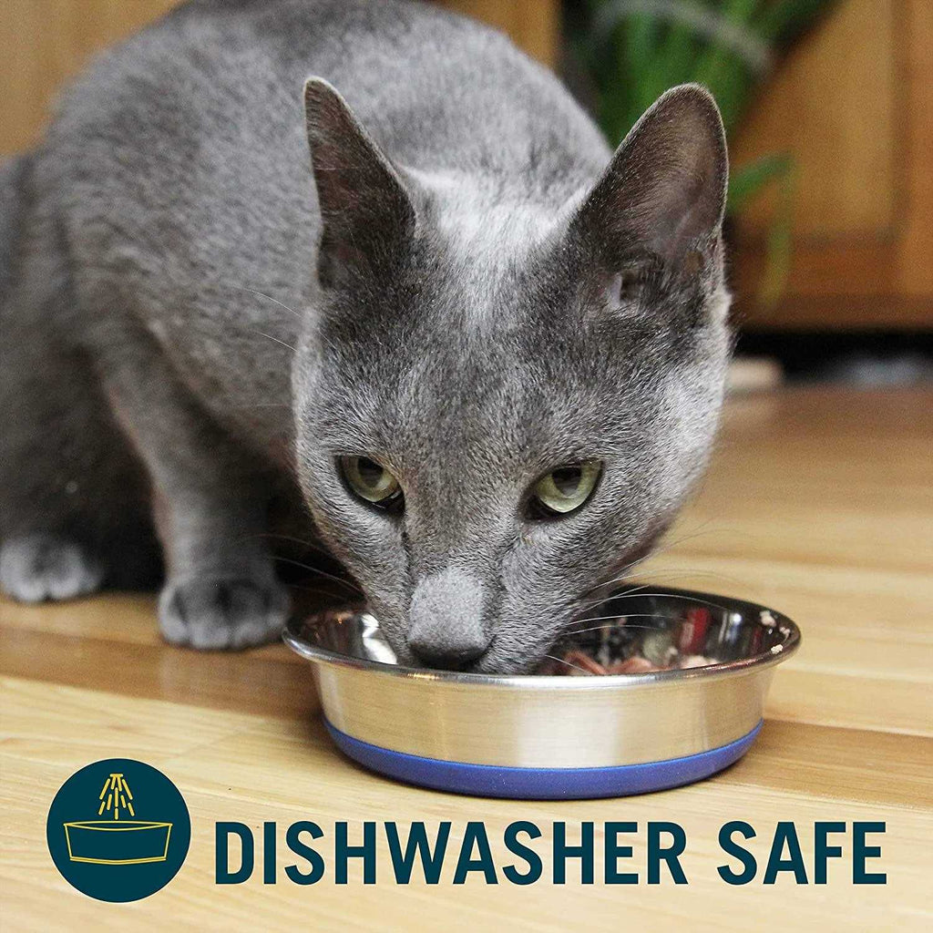 Cat Dish C71722