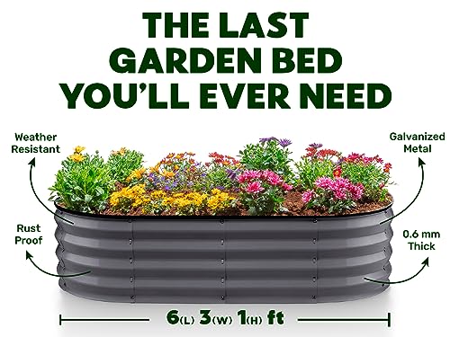 Gray 6×3×1ft Galvanized Metal Raised Garden Bed G829532