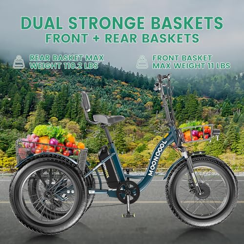 20" x 4" Fat Tire Electric Tricycle with Removable Battery P2560