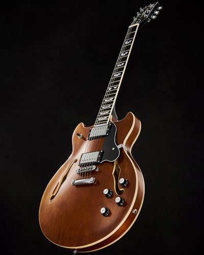 Semi Hollow Body Electric Guitar with 6 String Y1113