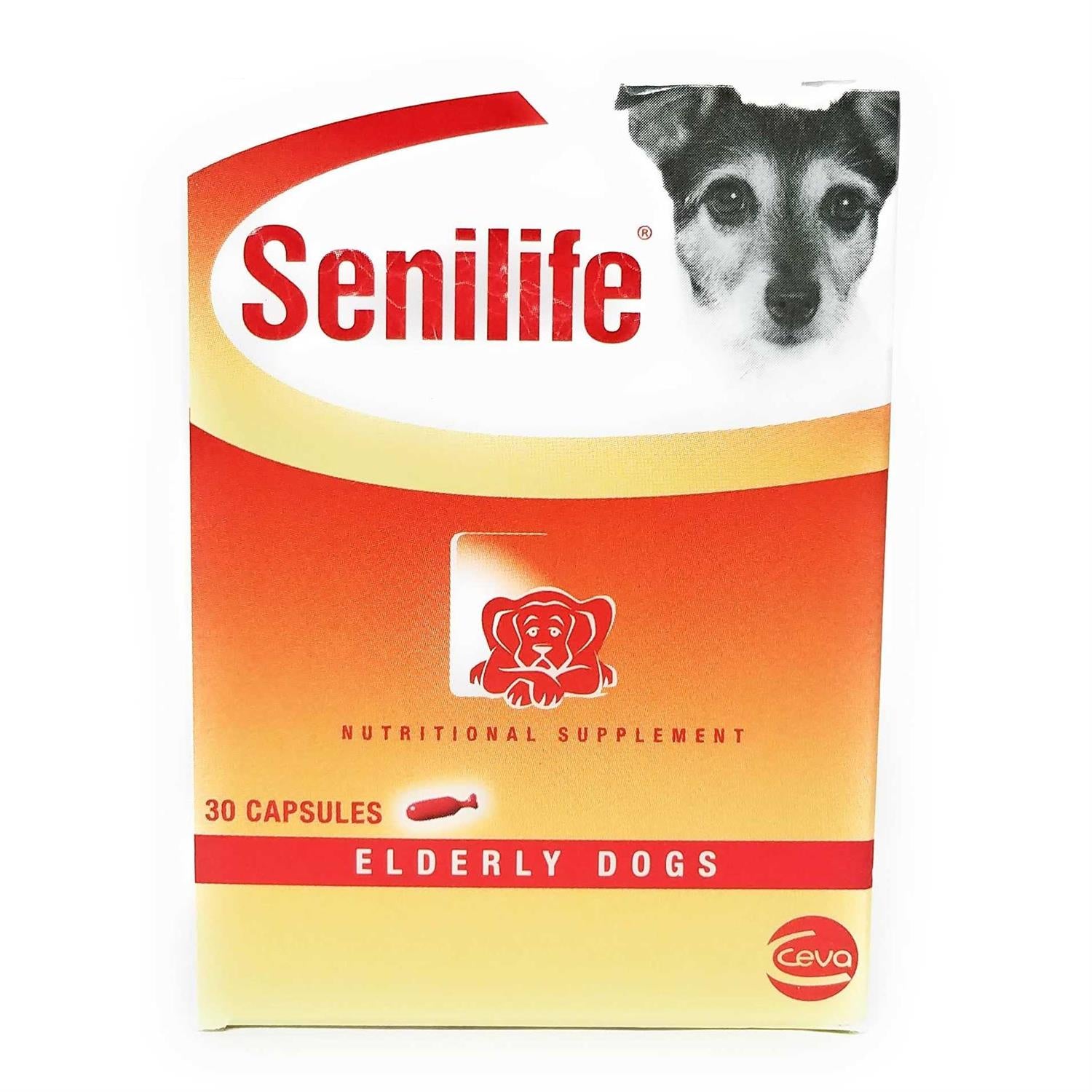 Nutritional Supplement for Elderly Dogs A3302