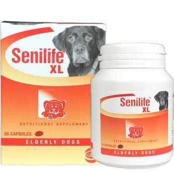 Nutritional Supplement for Elderly Dogs A3302