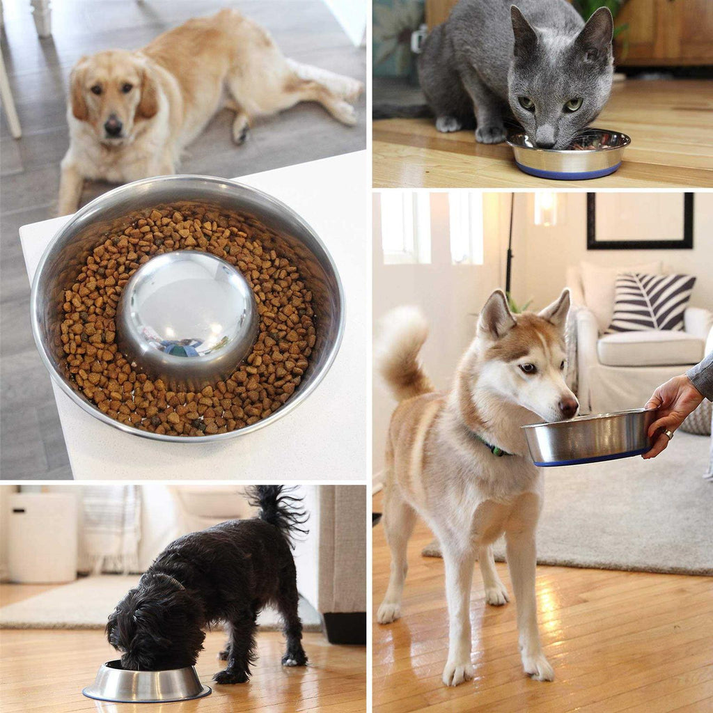 Cat Dish C71722