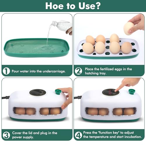 12-24 Poultry Incubator with Automatic Egg Turning and Temperature Control E465