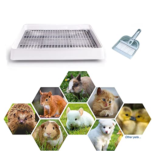 Rabbit Litter Box with Grate B458