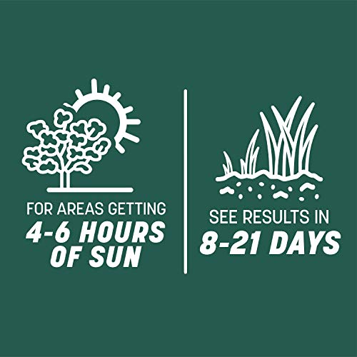 20 lb Grass Mix F21491