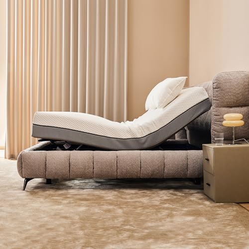 Queen Size Black Electric Adjustable Bed Frame V259