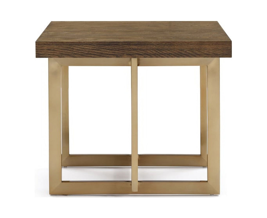 Modern Elm & Antique Brass End Table O814924