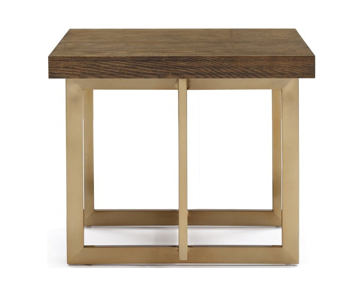 Modern Elm & Antique Brass End Table O814924