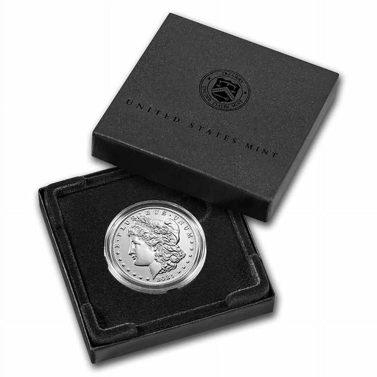 Silver Morgan Dollar A118230