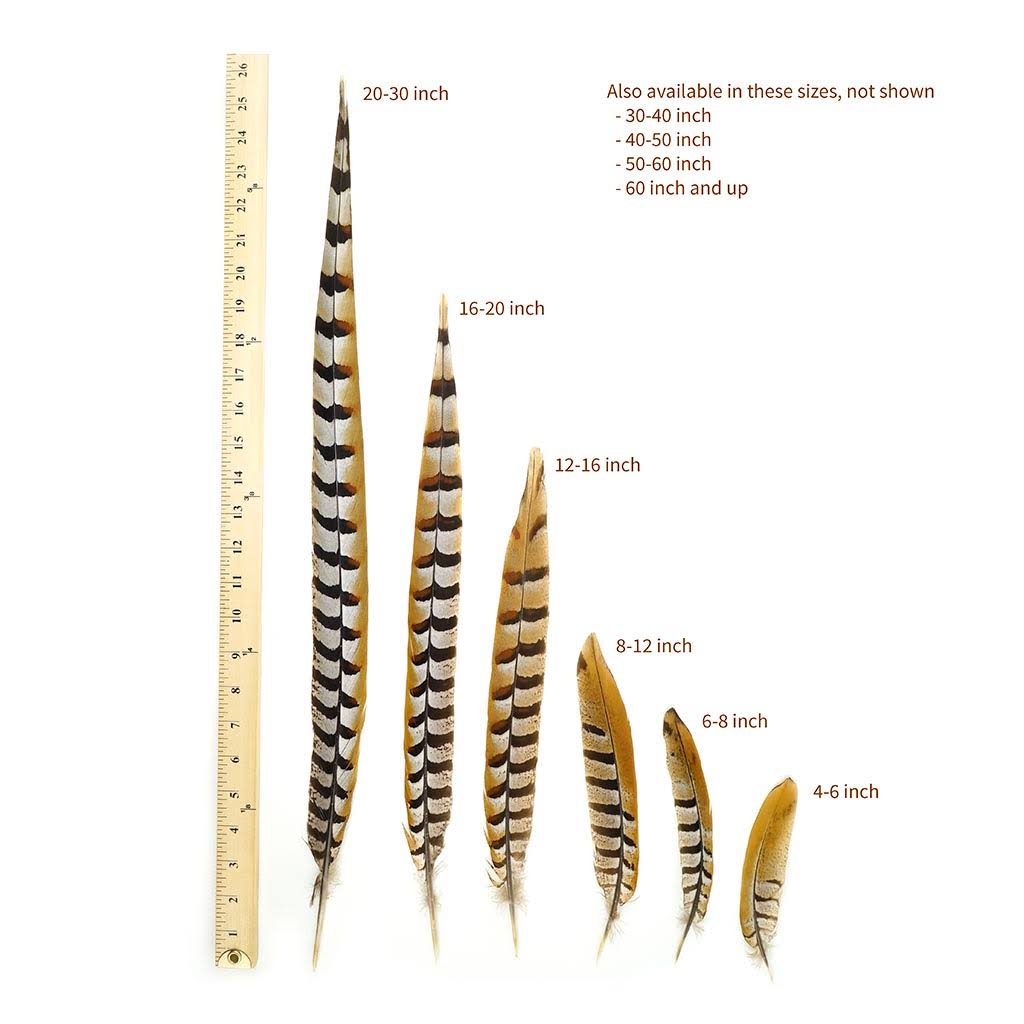 Pheasant Tails 50 - 60x22 V24459