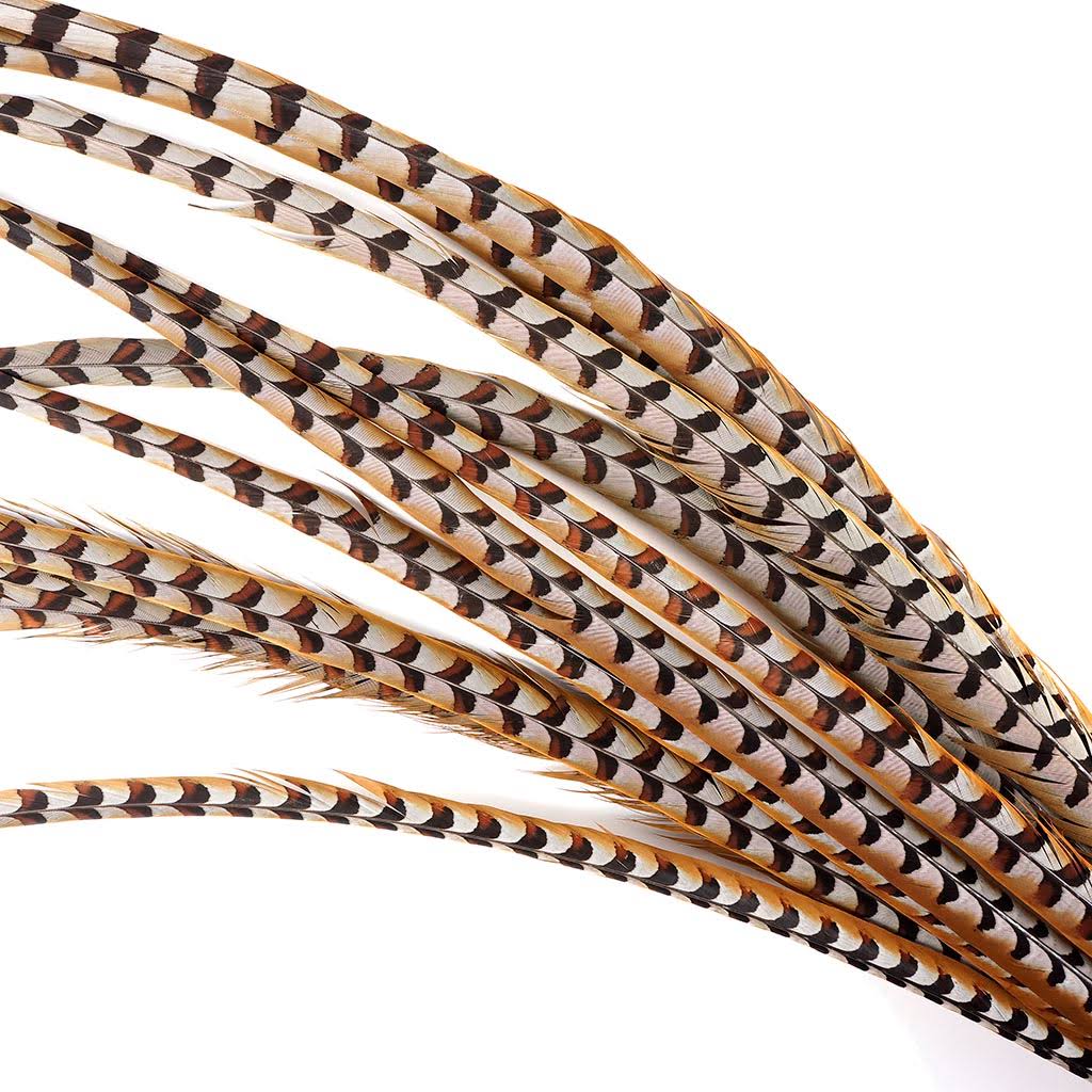 Pheasant Tails 50 - 60x22 V24459