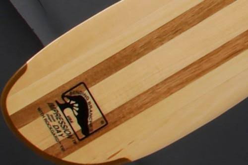 Solo Canoe Paddle J52294