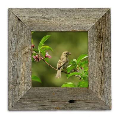 Matte Wood Frame Set Weathered Gray 11x22 x 14x22 O619794