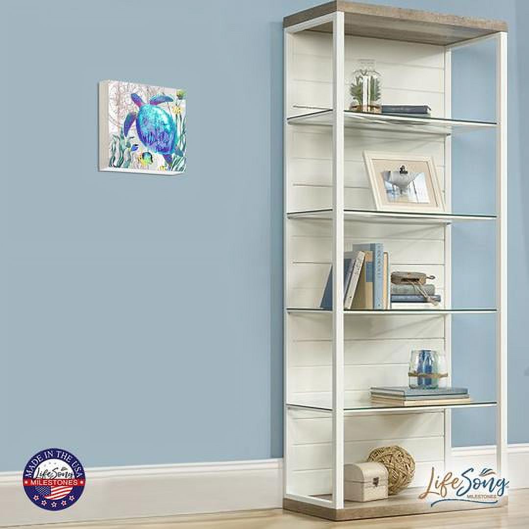 Turtle Art Canvas Shadow Box H9031