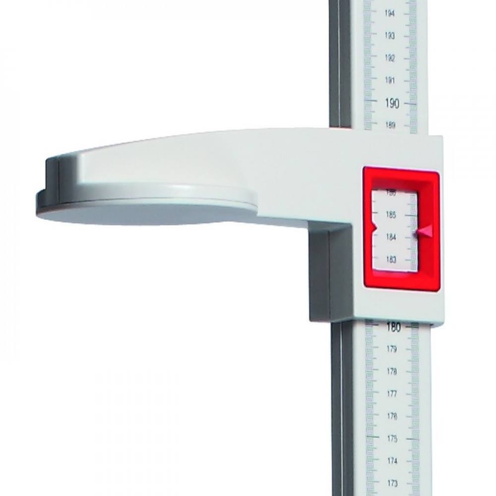 Portable Stadiometer W999